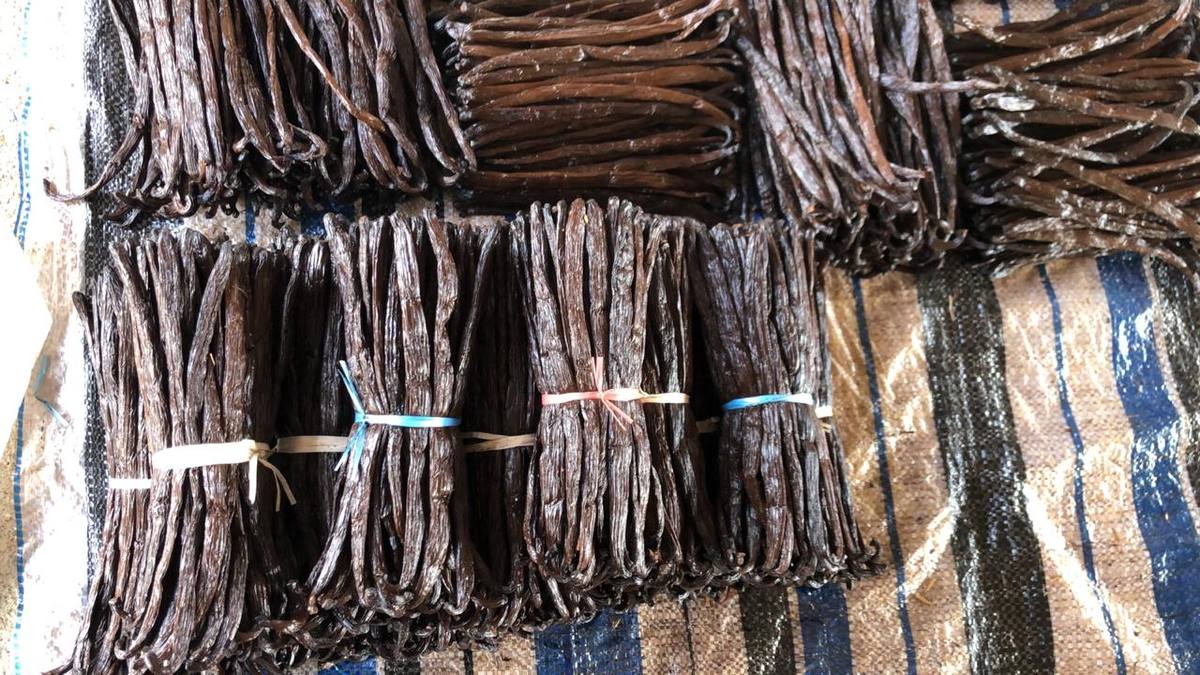Cured vanilla bundles — export-ready bulk supply