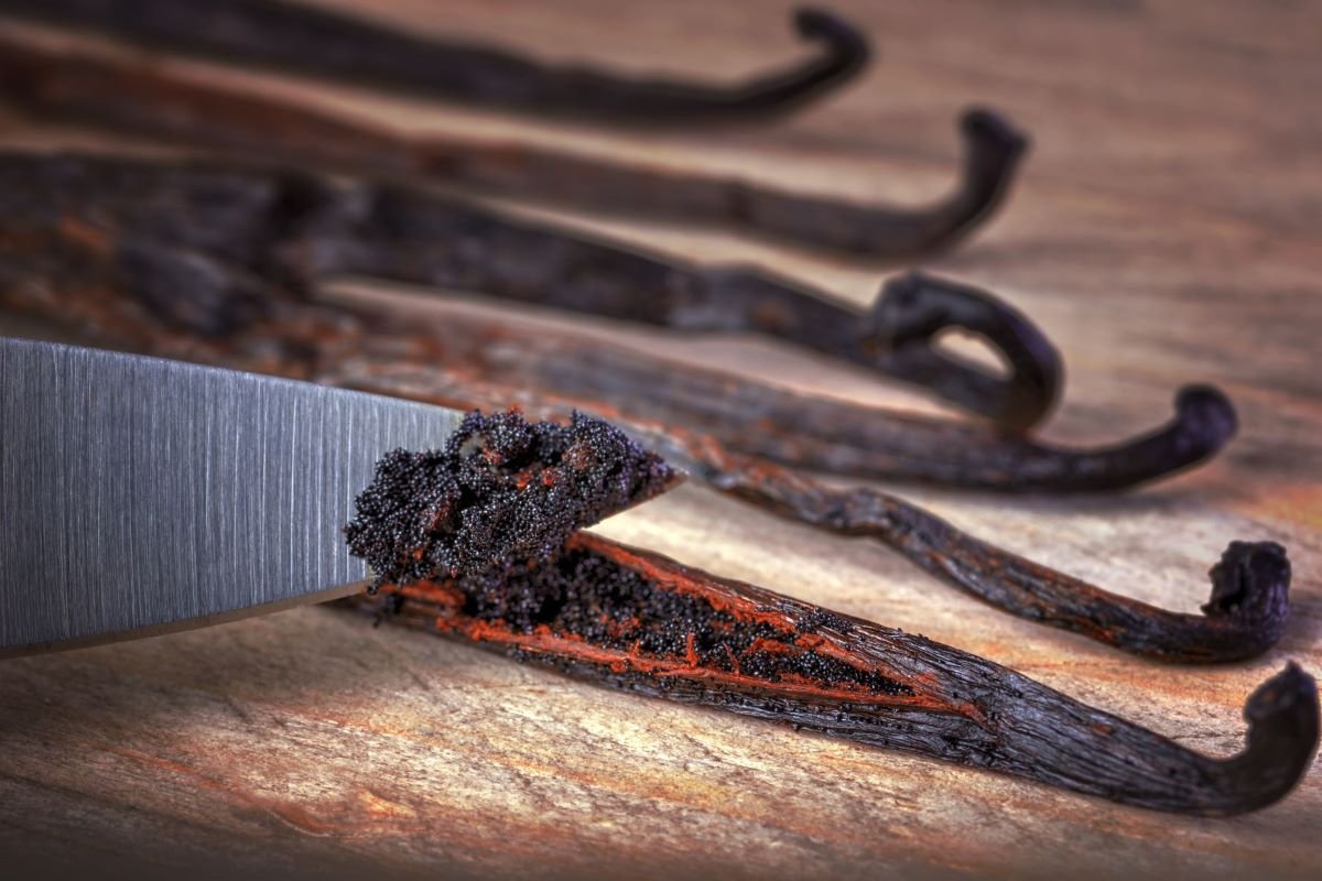 Vanilla caviar — split bean revealing thousands of seeds