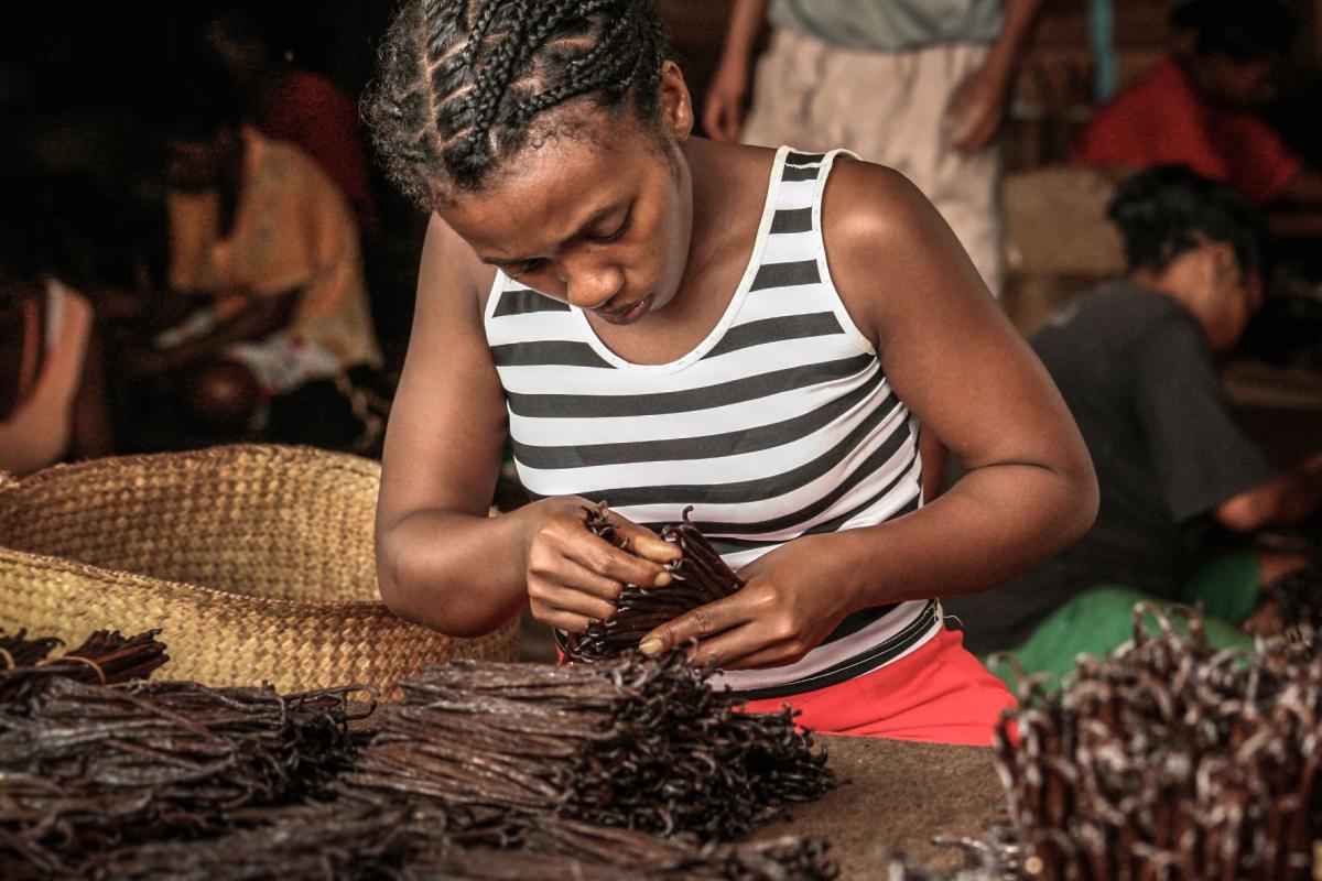 Hand-sorting at origin — SAVA Region, Madagascar